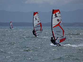 El Yaque Windsurfers