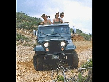 Walter's Swingin' Jeep Safari Tour