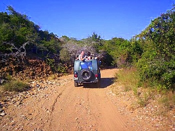 Walter's Swingin' Jeep Safari Tour - Off Road Fun