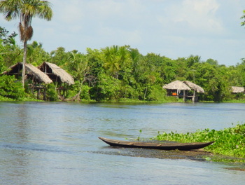 Orinoco Delta, Venezuela